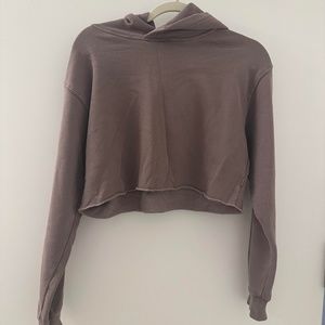 Aritiza Cozy Fleece Boyfriend Cropped Hoodie